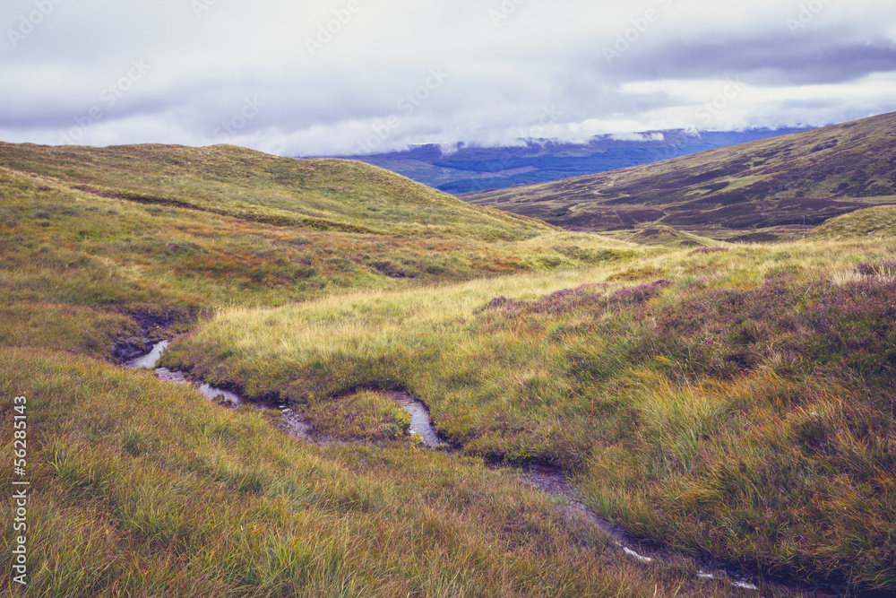 Obraz premium Small stream of water flowing through hillside