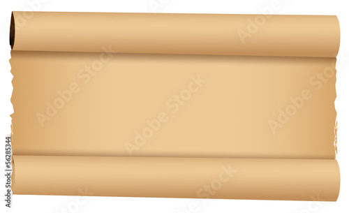 Scroll parchment - Constitution Day Vector Illustration