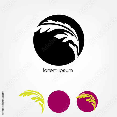 Abstract graphic design - circle with feather light