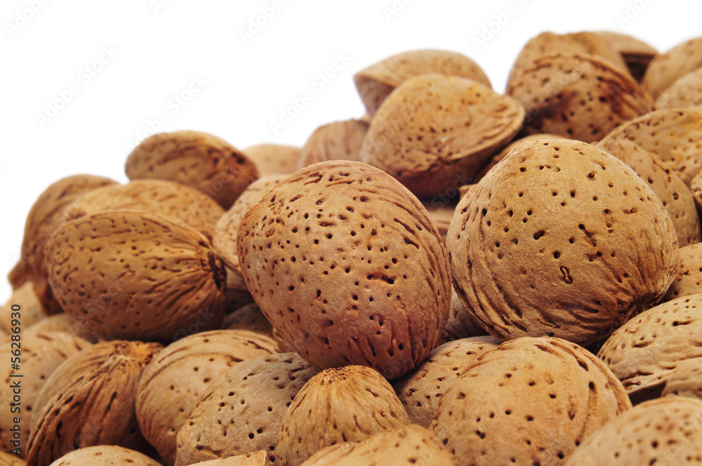 almonds in shell almonds in shell