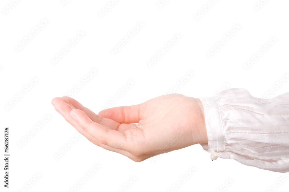 Open hand. Holding, begging, giving, showing concept.. Open hand. Holding, begging, giving, showing concept..