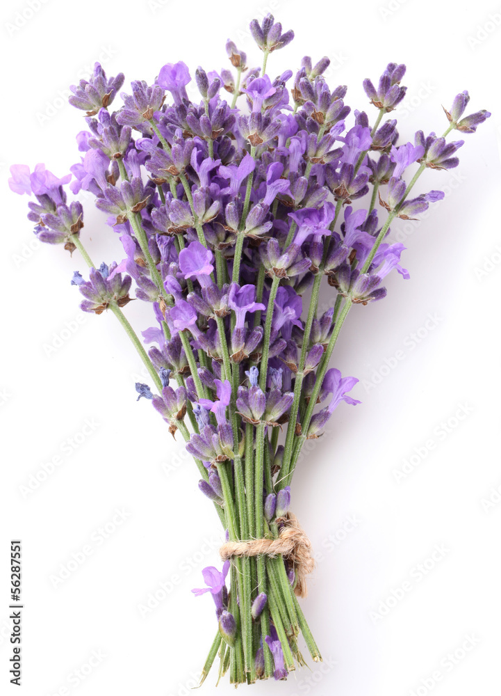 Fototapeta premium Pęczek lawendy.