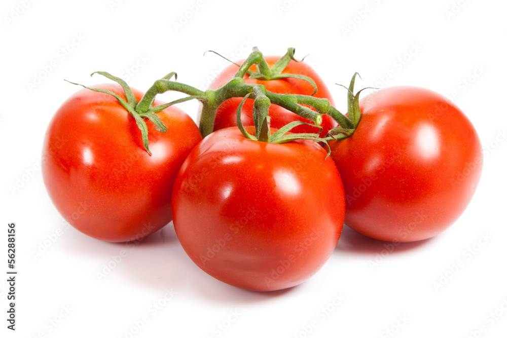 Closeup of tomatoes on the vine isolated on white. Tomato branch Closeup of tomatoes on the vine isolated on white. Tomato branch