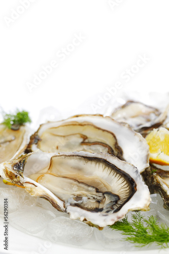 Oysters with lemon and dill