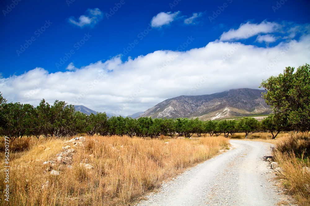 rural landscape of Greece