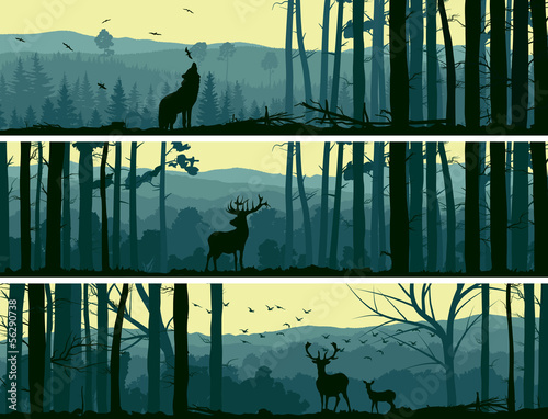 Horizontal banners of wild animals in hills wood.