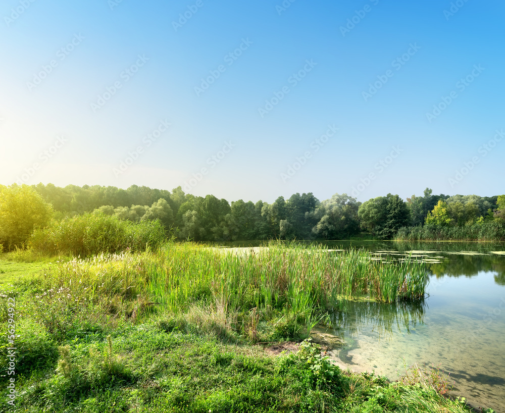 Obraz premium Silent river