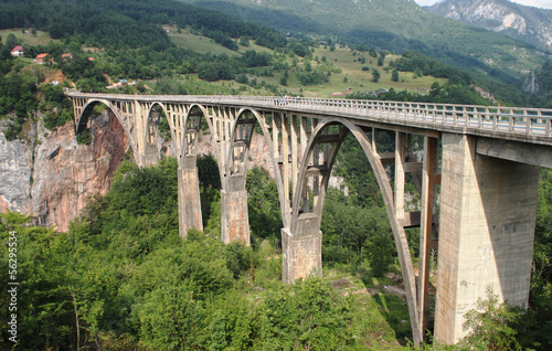 Bridge over Tara © Vladimir Jovanovic