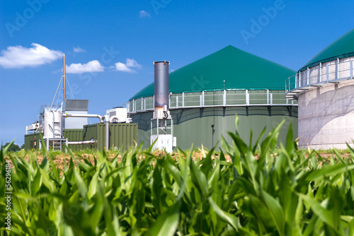Biogasanlage mit Maisfeld 3137
