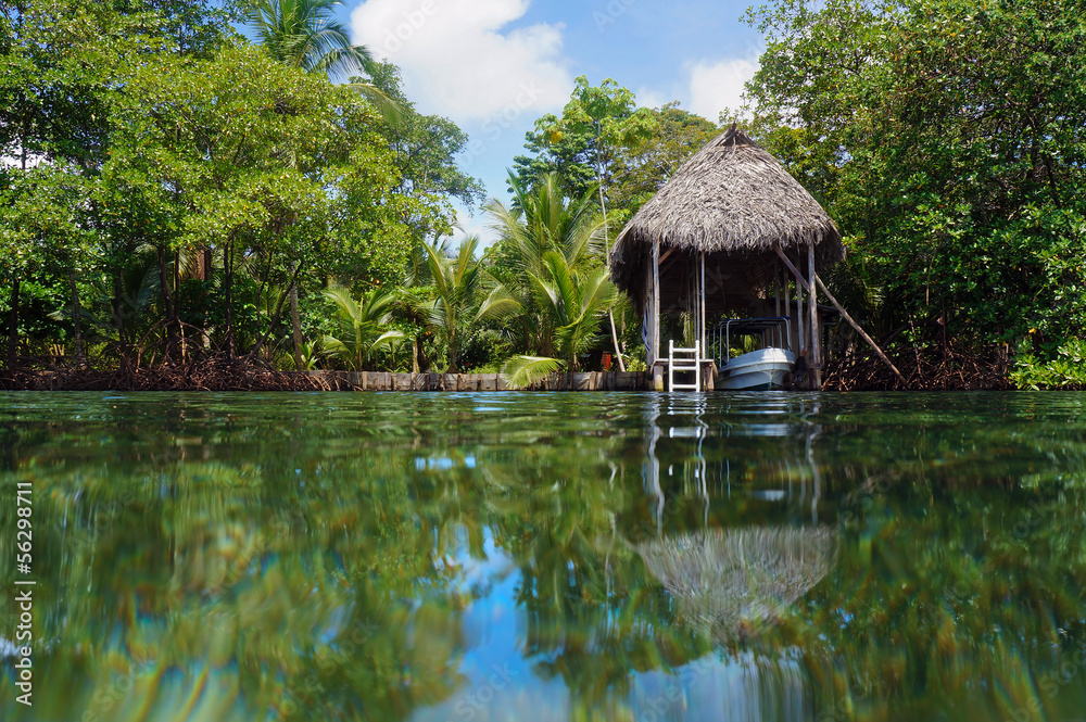 Boathouse with tropical vegetation