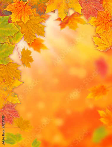 Herbsthintergrund