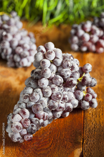 Organic Purple Wine Grapes
