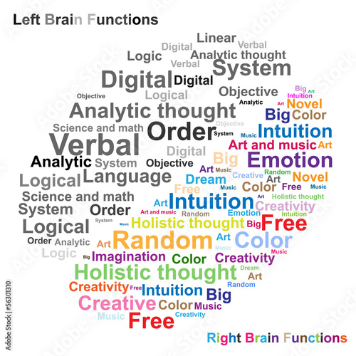 Left and Right brain function illustration