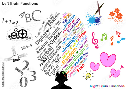 Left and Right brain function illustration