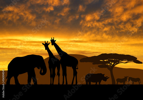 giraffes elephant and rhino over sunrise