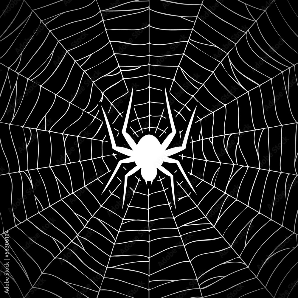 Fototapeta premium Spider on web