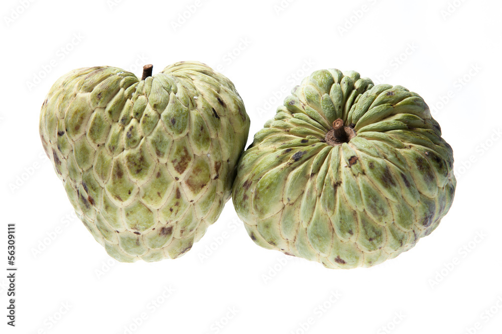Obraz premium custard apple on white background