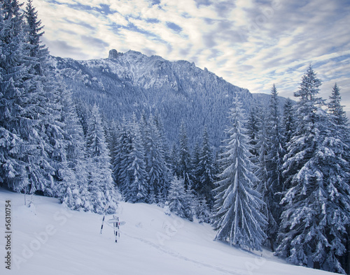winter mountain landscape in forest, Romanian Carpathians