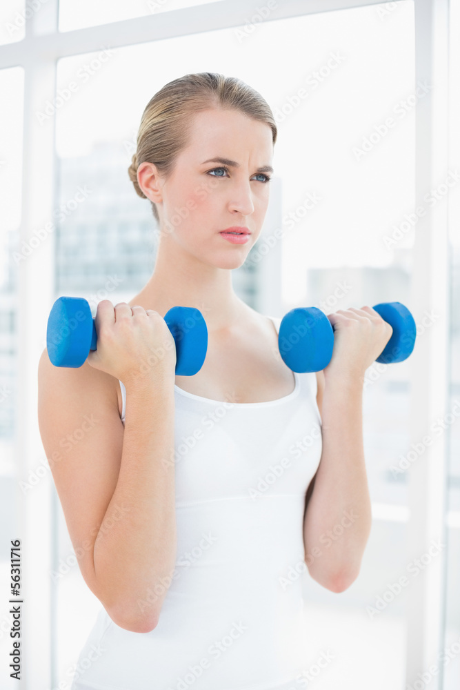 Concentrated fit woman exercising with dumbbells Concentrated fit woman exercising with dumbbells