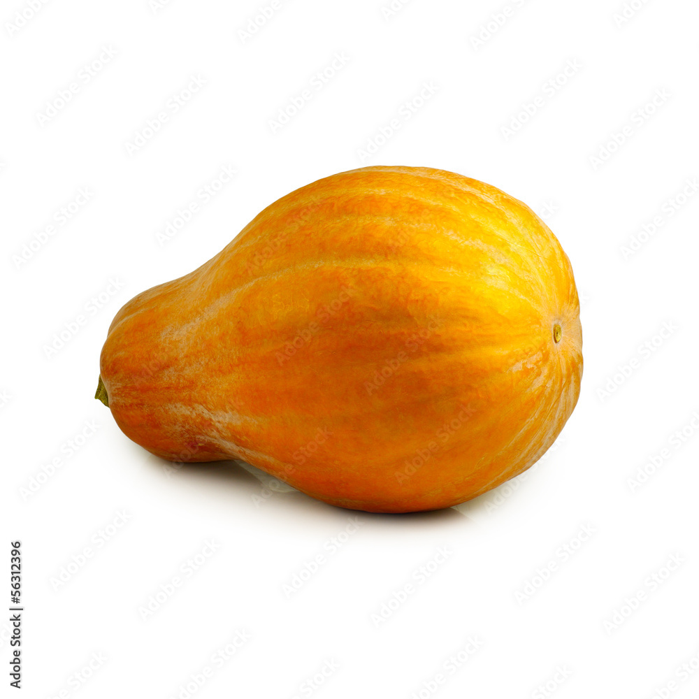 pumpkin isolate pumpkin isolate