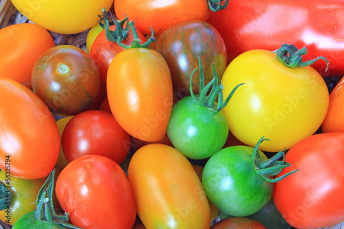 Bunte Tomaten