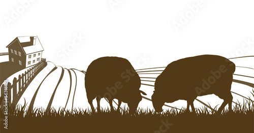 Sheep Farm Rolling Hills Landscape