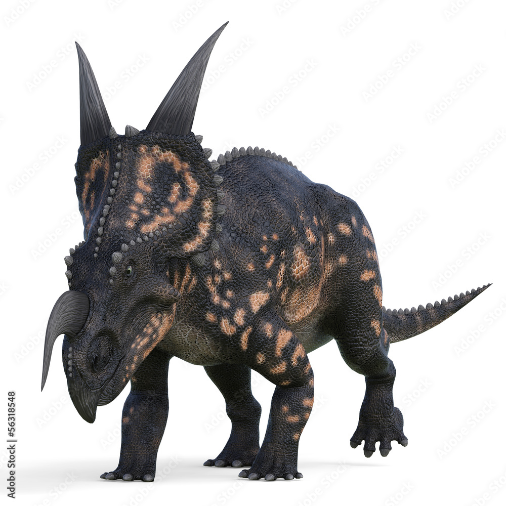 einiosaurus charge walk einiosaurus charge walk