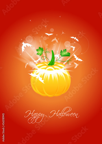 Halloween - citrouille lumineuse et ses chauves-souris