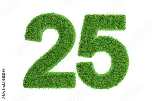 Number 25 with a green grass texture