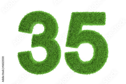 Number 35 with a green grass texture