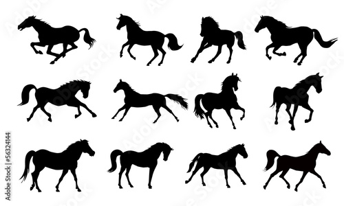 Horse silhouettes