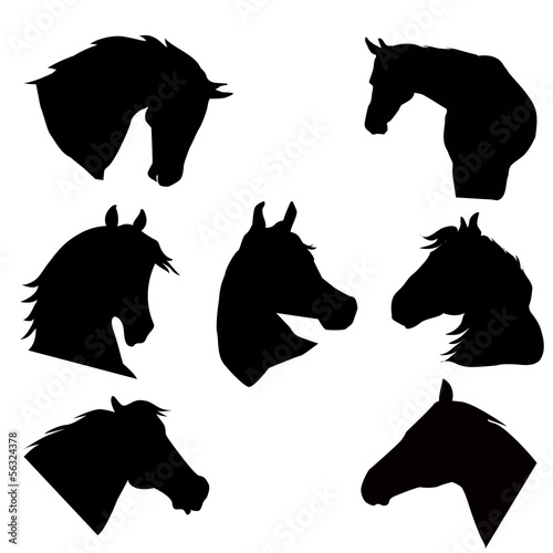 Horse heads silhouettes