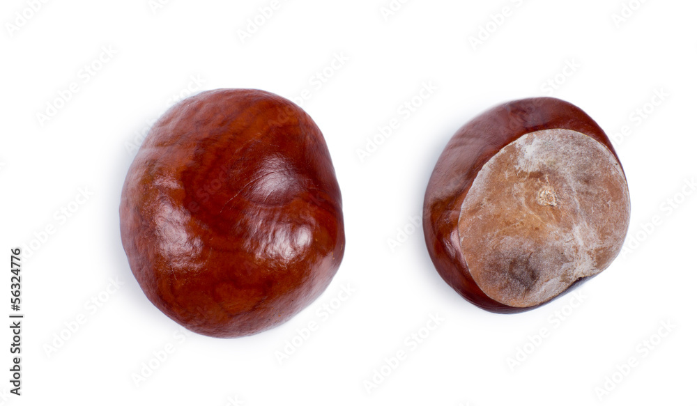 Two views of a fresh chestnut Two views of a fresh chestnut