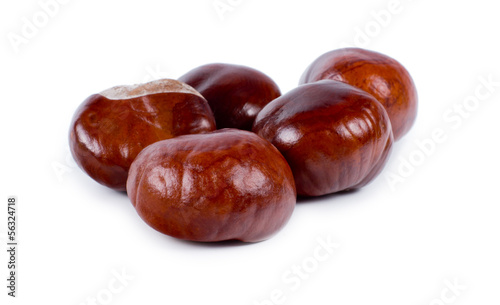 Fresh edible whole sweet chestnuts