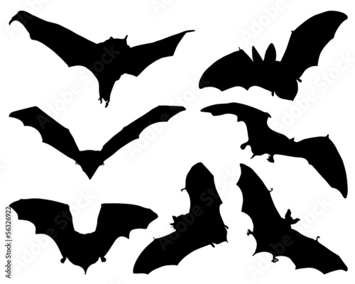 Silhouettes  of bats, vector