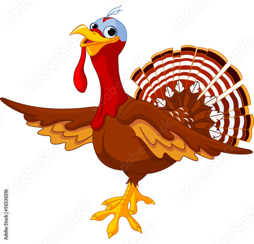 Cartoon turkey
