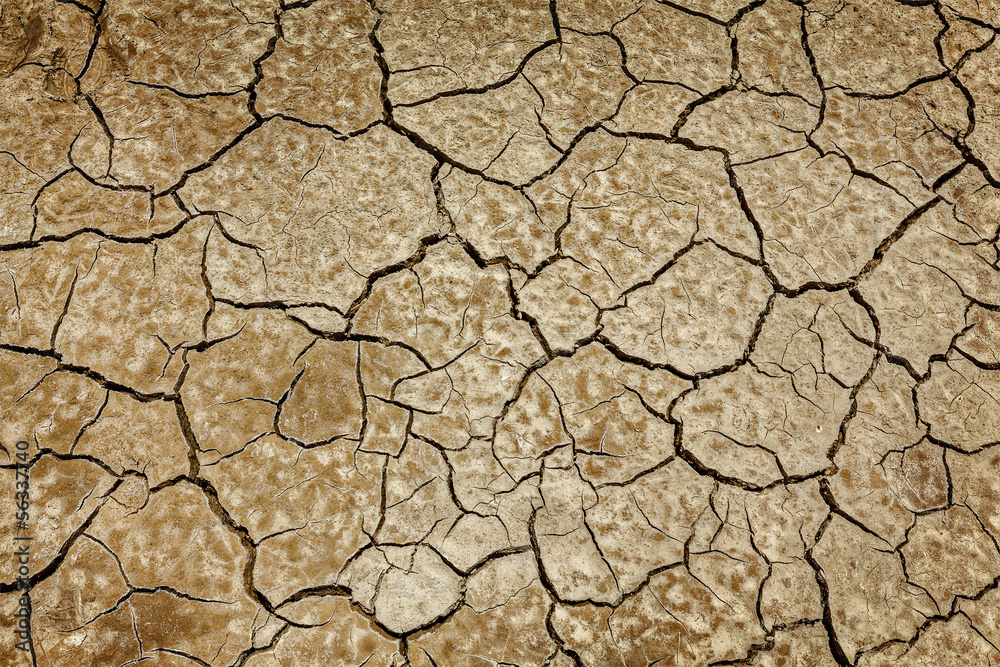 Cracked earth background texture Cracked earth background texture