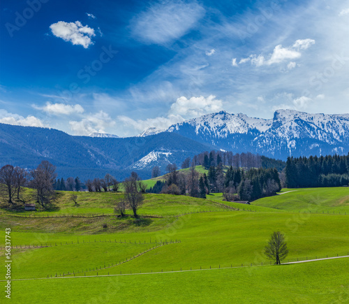 German idyllic pastoral countryside in spring with Alps in backg © Dmitry Rukhlenko