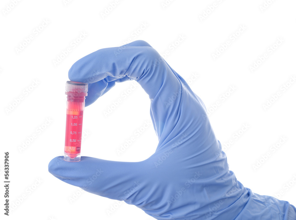 Hand holding test tube isolated on white background Hand holding test tube isolated on white background