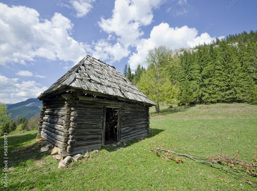 Obraz premium wooden house