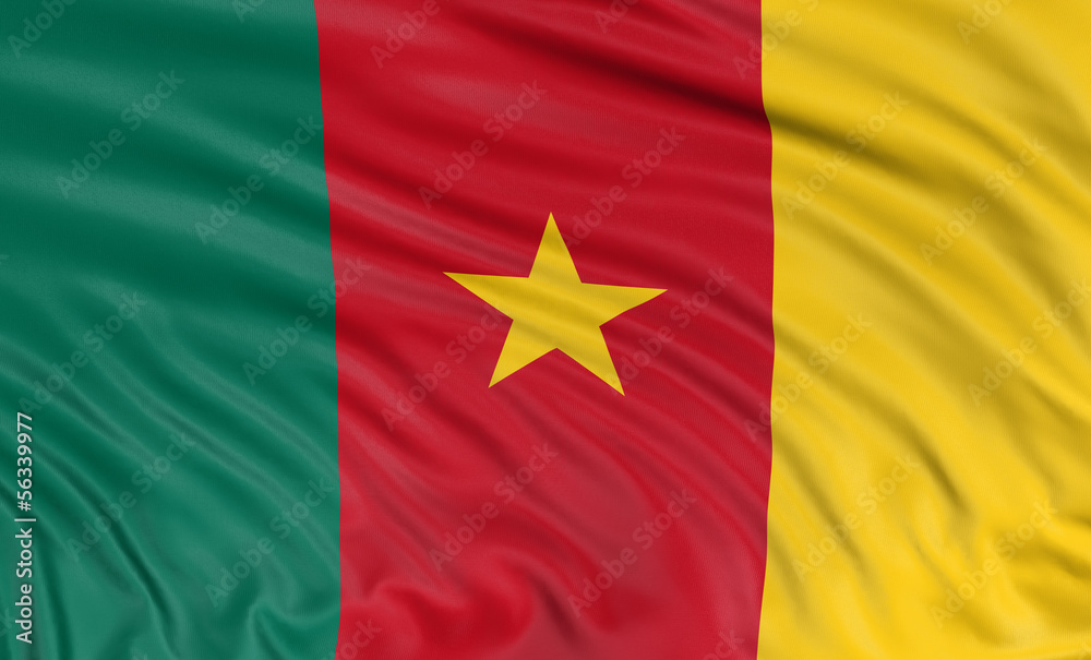 3D Flag of Cameroon