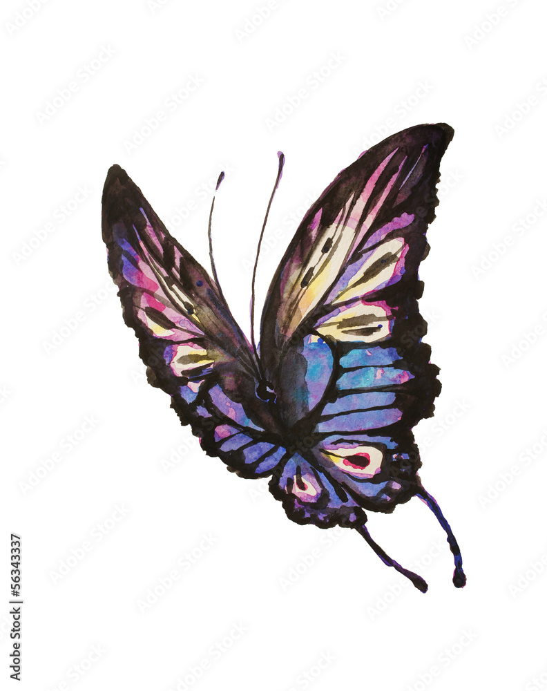 Obraz motyl, wzór akwareli