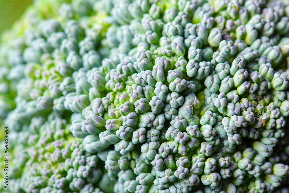 close-up photo of green broccoli