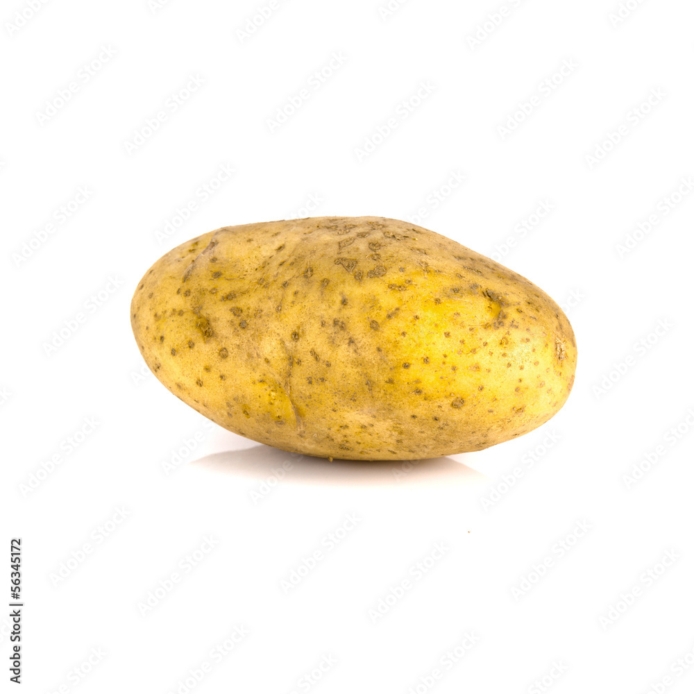 single potato isolated over white background single potato isolated over white background