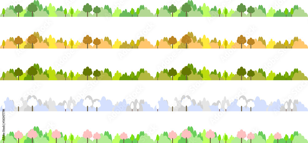 Fototapeta premium 森の四季