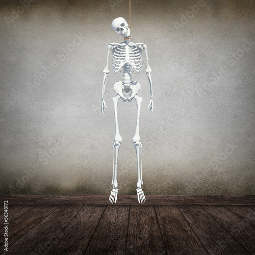 skeleton hangman's noose in dark wood room 