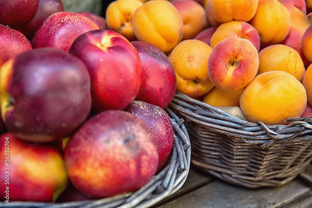 Fruit Fruit
