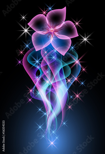 Fototapeta Naklejka Na Ścianę i Meble -  Flower and  stars