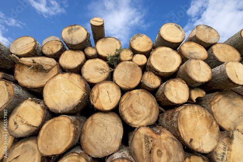 Wooden Logs with Blue Sky on Background