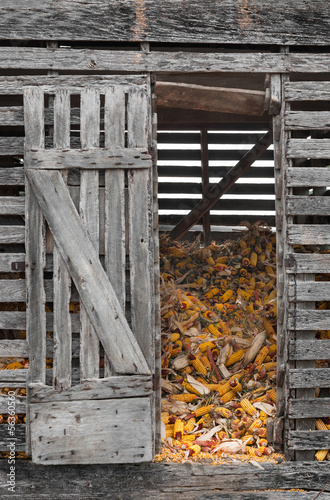 Corn Crib with Open Door photo